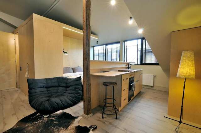 Апартаменты Cozy modern studio in Old town Kaunas Каунас-31